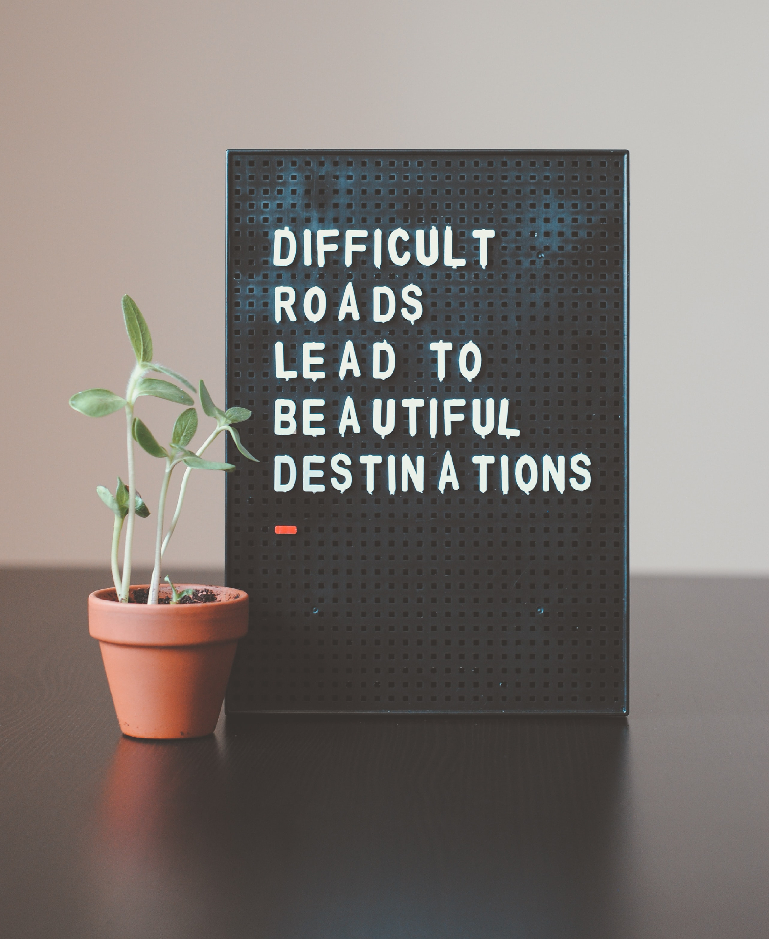 Photo of a plant and sign that reads difficult roads lead to beautiful destinations. If you are dealing with postpartum symptoms learn how postpartum therapy in San Francisco, CA can help you ease your symtpoms.